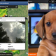 Illustration for article titled iPad Apps of the Week: Guide, WunderMap, and More
